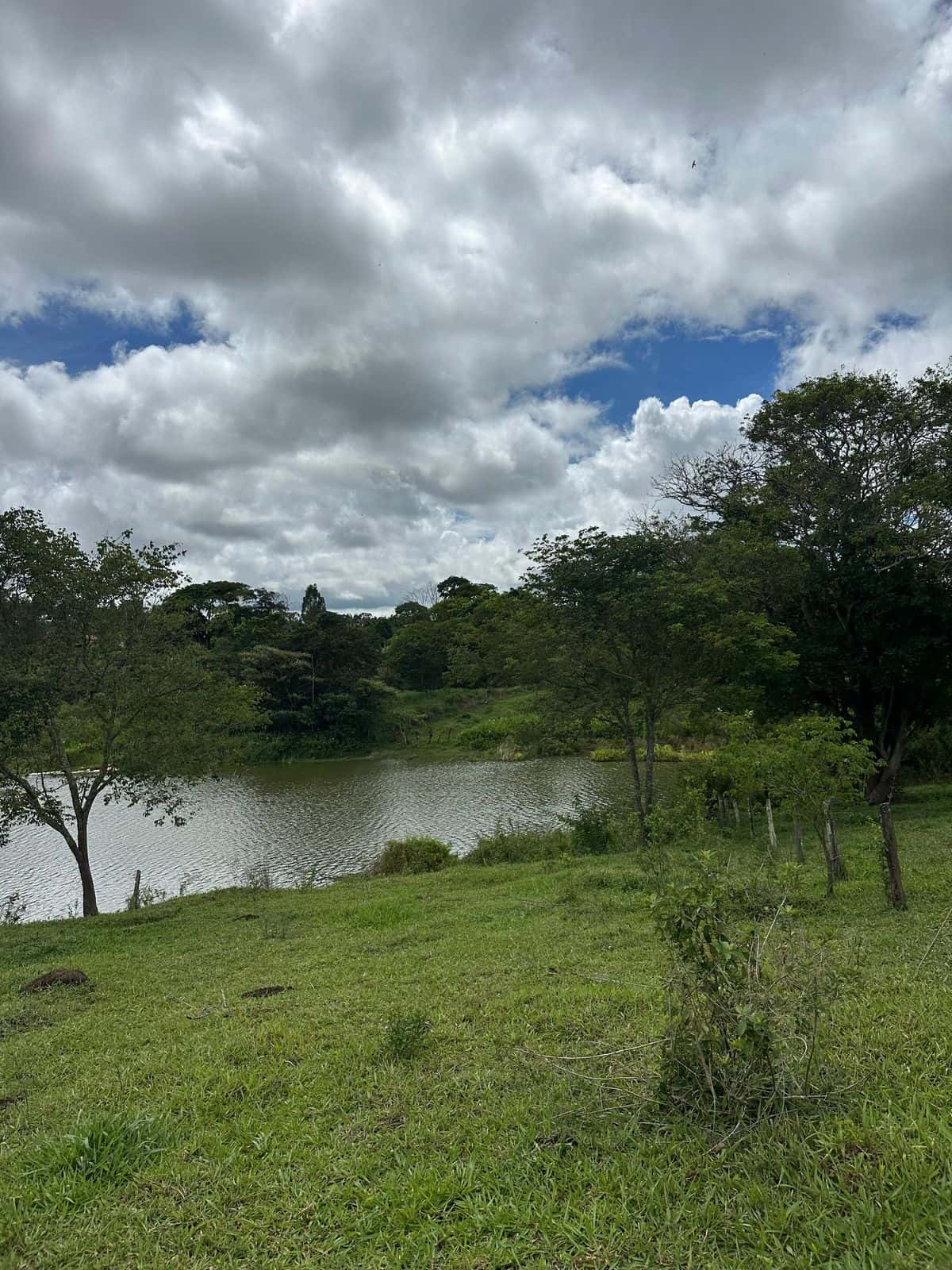 Imperdivel Chacara a Venda com asfalto na porta - Inhumas