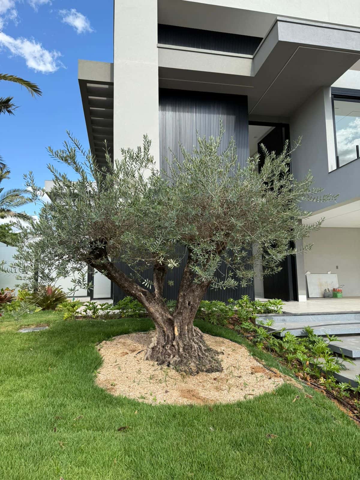 SOBRADO À VENDA NO JARDINS LISBOA – LOTE DE ESQUINA, EM FRENTE À MATA