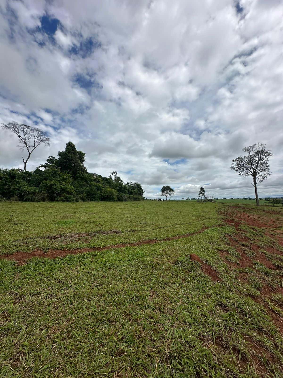 Imperdivel Chacara a Venda com asfalto na porta - Inhumas