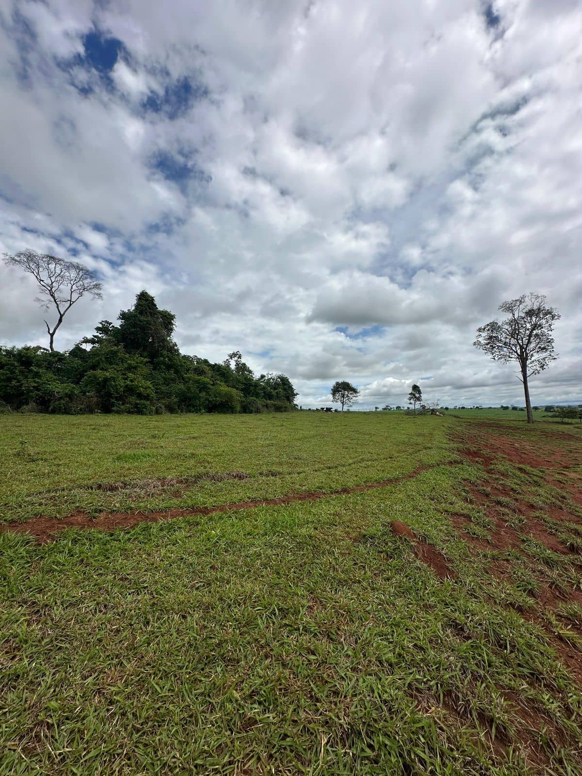 Imperdivel Chacara a Venda com asfalto na porta - Inhumas