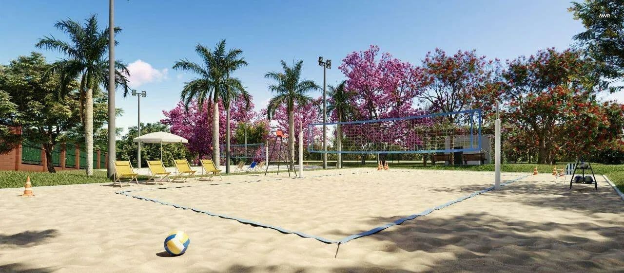 Imagem 5