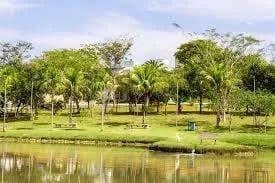 Imagem 5