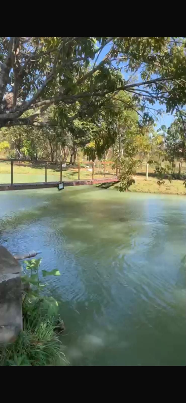 Chácara com   4.179 metros em trindade